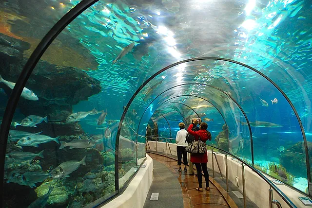 The glass tunnel of the Barcelona aquarium, with fish swimming around and above the walkway